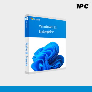 win11 enter Windows 11 Enterprise