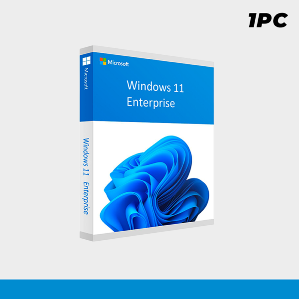 win11 enter Windows 11 Enterprise